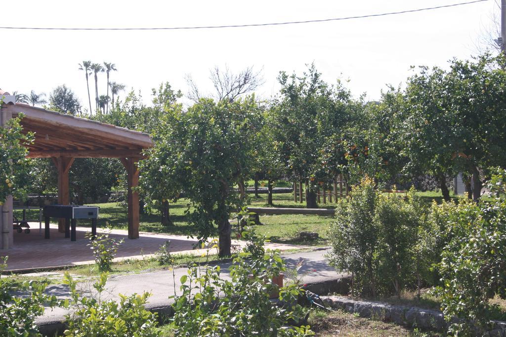 Agriturismo Galea 里波斯托 外观 照片