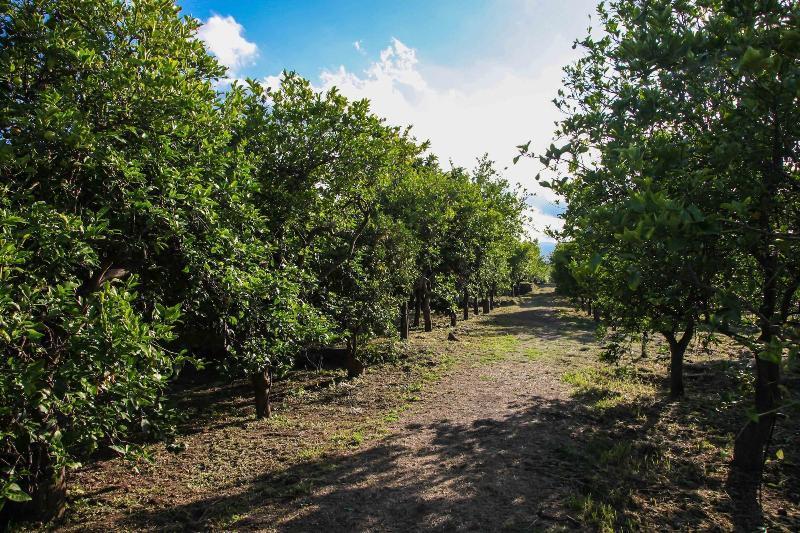 Agriturismo Galea 里波斯托 外观 照片