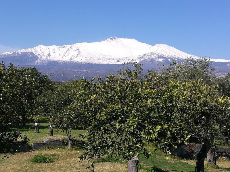 Agriturismo Galea 里波斯托 外观 照片