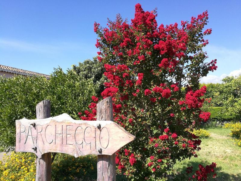 Agriturismo Galea 里波斯托 外观 照片