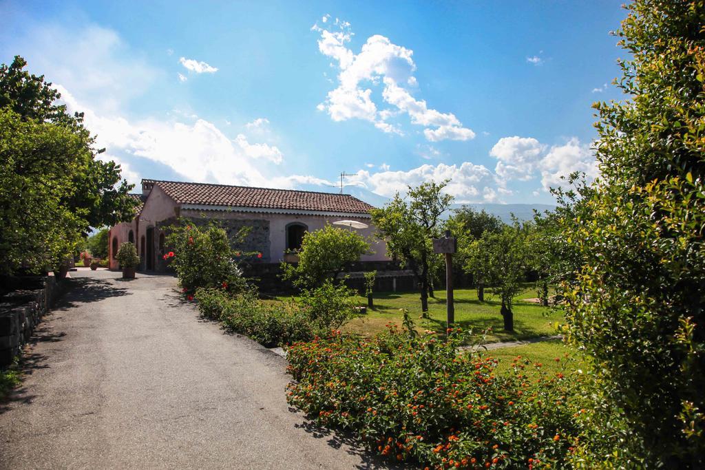 Agriturismo Galea 里波斯托 外观 照片