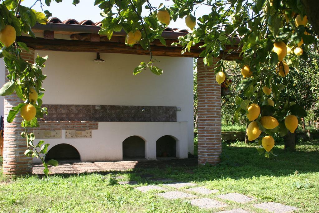 Agriturismo Galea 里波斯托 外观 照片