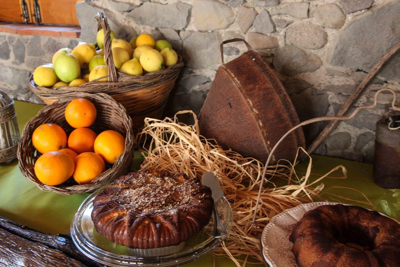 Agriturismo Galea 里波斯托 外观 照片