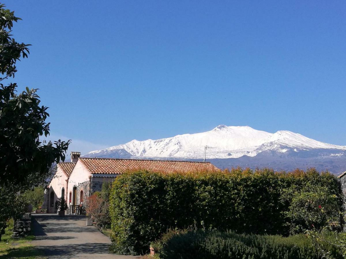 Agriturismo Galea 里波斯托 外观 照片